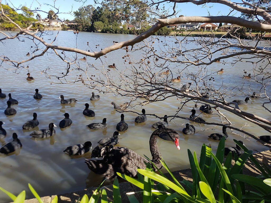 Wattle Grove Lake | park | Wattle Grove NSW 2173, Australia