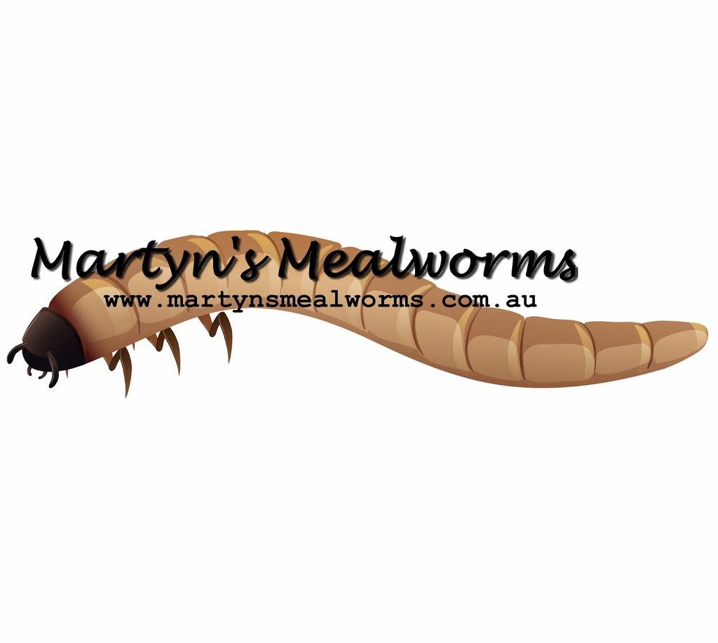 Martyns Mealworms | 8 Sandner Grove, Golden Square VIC 3555, Australia | Phone: 0473 567 267