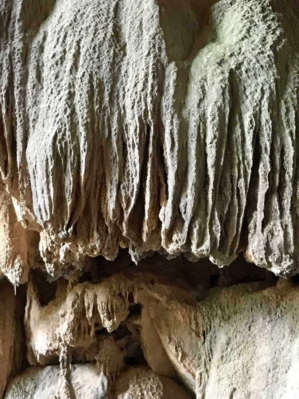 Fig Tree Cave | tourist attraction | Caves Track, Wombeyan Caves NSW 2580, Australia | 0248435976 OR +61 2 4843 5976