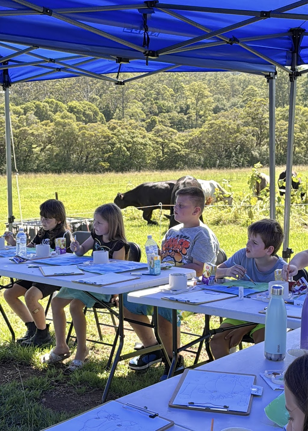 The Bower Farm Collective | 43 Simmsville Rd, Stroud NSW 2425, Australia | Phone: 0422 064 211