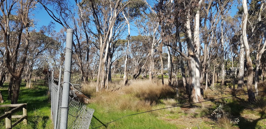 Caruana Woodland Reserve | Caruana Woodland, 1A Caruana Dr, Dingley Village VIC 3172, Australia