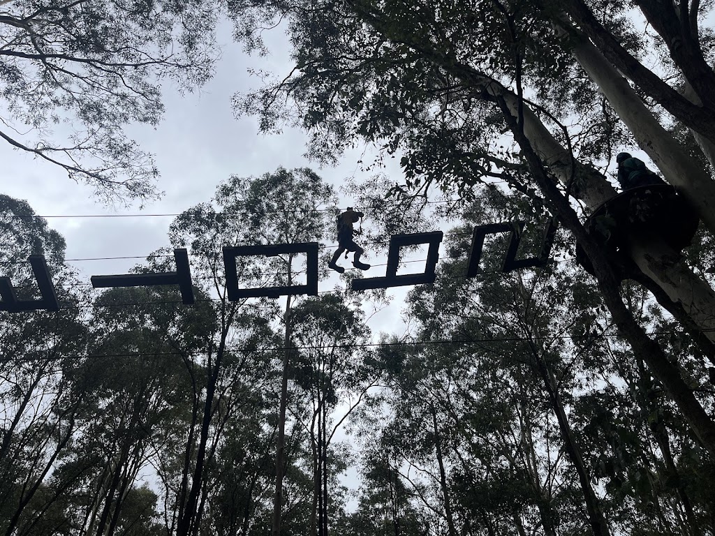 WildNets Adventure Newcastle - Previously TreeTops | Treetops Rd, Minmi NSW 2287, Australia | Phone: 0435 422 447