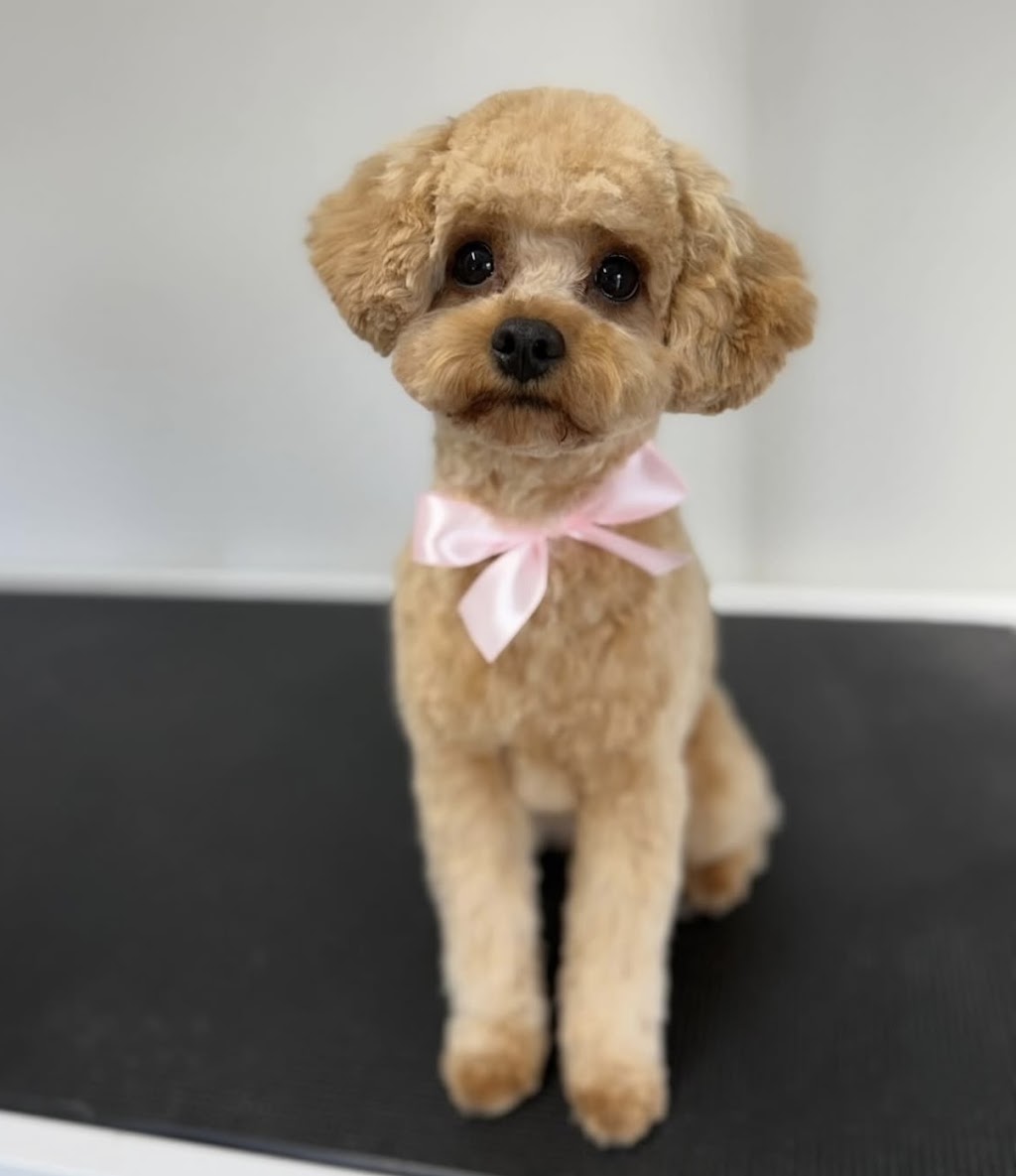 Bark Avenue Dog Grooming | 6 East St, Blakehurst NSW 2221, Australia | Phone: 0423 206 208