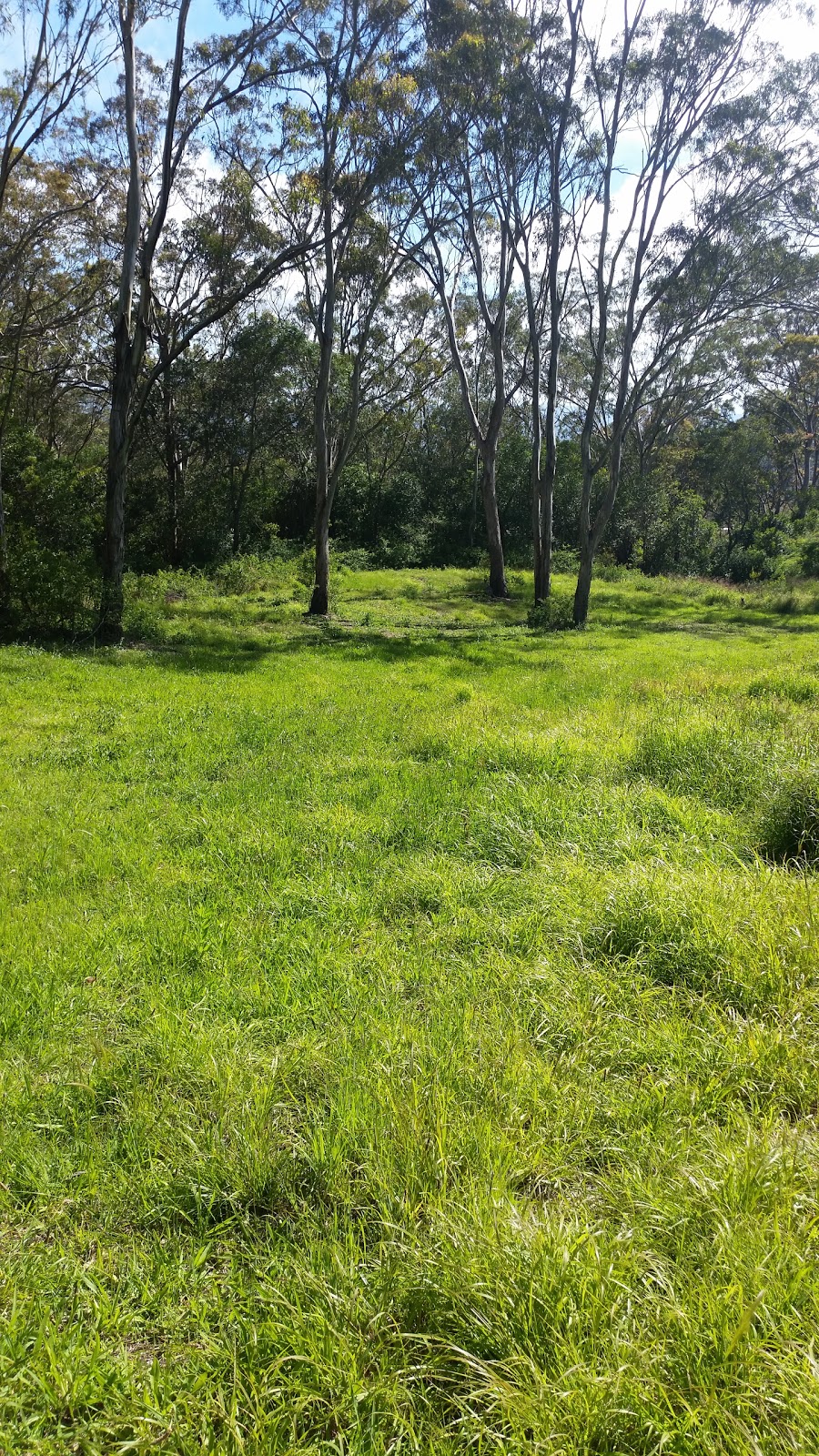 National Parks and Wildlife Centre | park | Alderley St, Rangeville QLD 4350, Australia