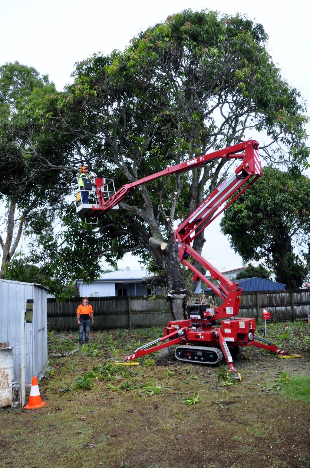 ADVANCED TREE CARE MACKAY PTY LTD | 4 Blue Gum Dr, Glenella QLD 4740, Australia | Phone: (07) 4942 8444