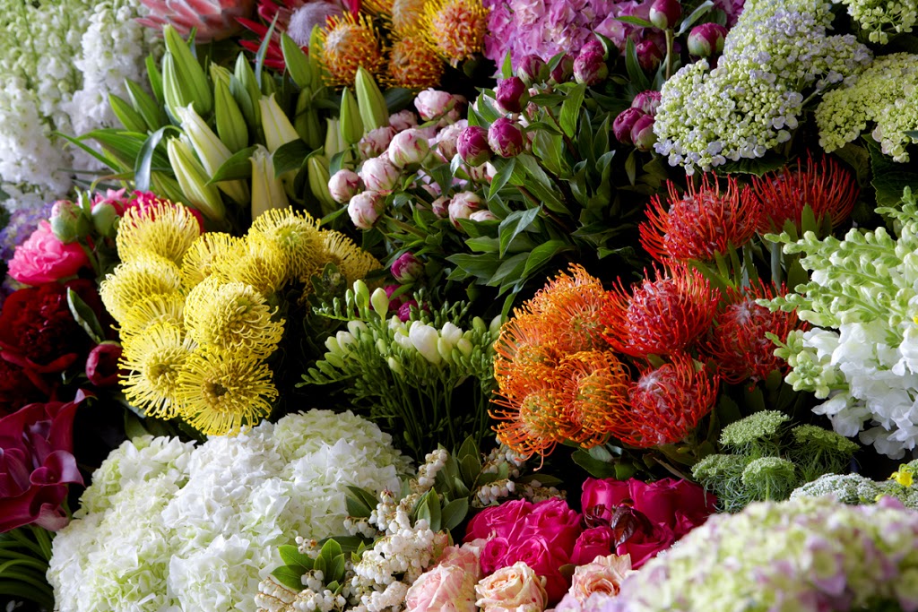 Jodie McGregor Flowers | florist | 123 Johnston St, Annandale NSW 2038, Australia | 0295661999 OR +61 2 9566 1999