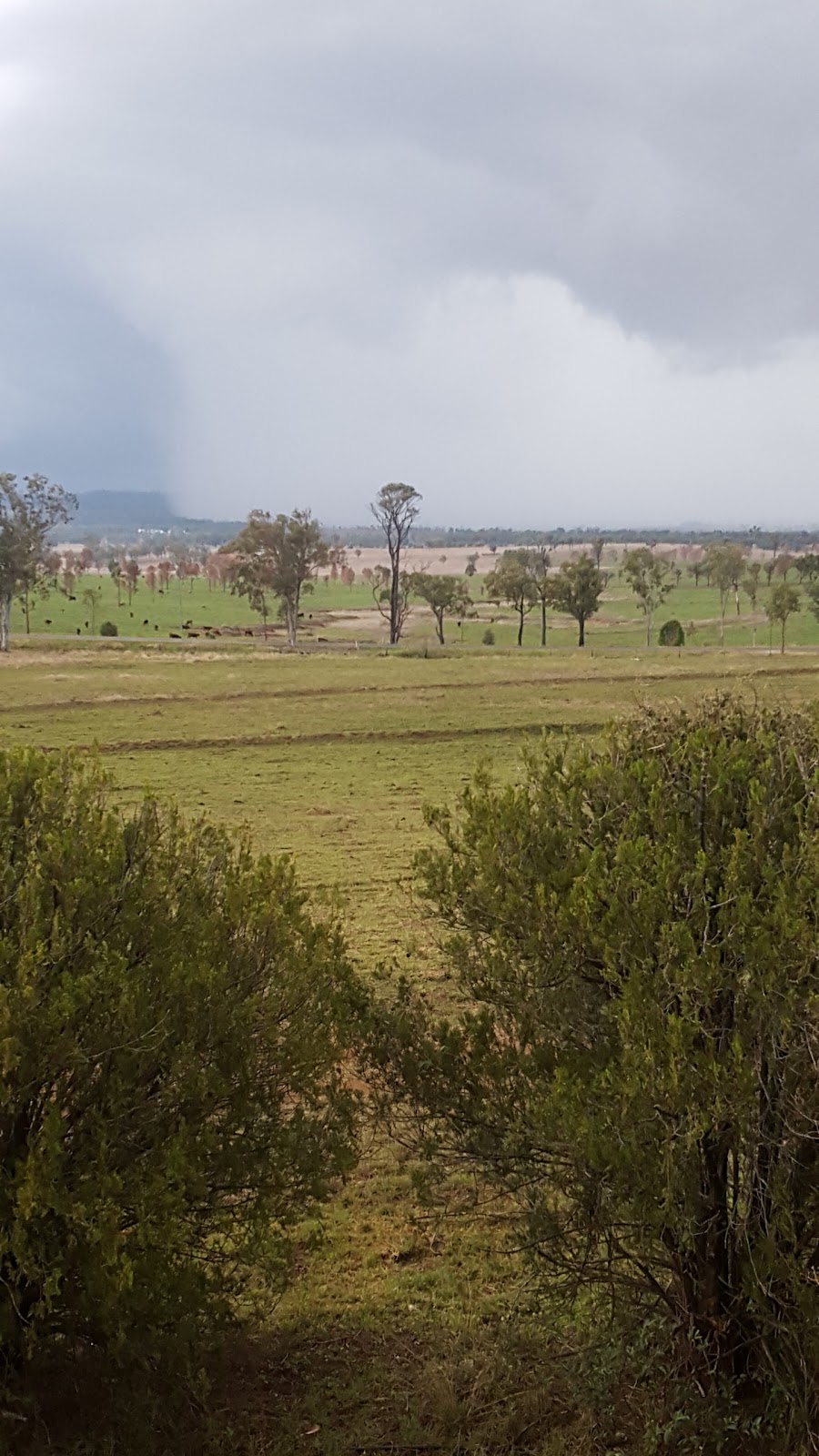 Jerakala Beef | lodging | 20024 Burnett Hwy, Mundubbera QLD 4626, Australia | 0741654909 OR +61 7 4165 4909