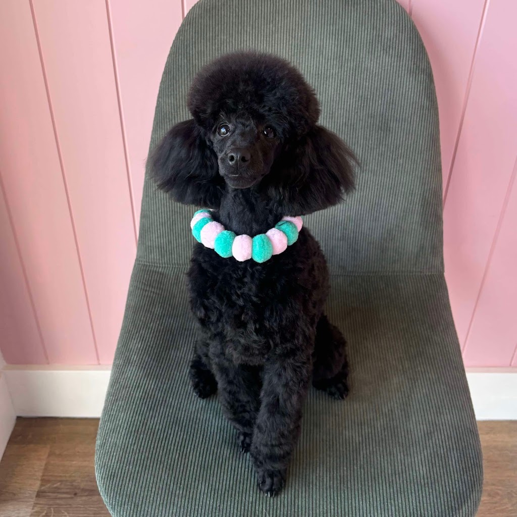 Puppy Love Dog Grooming | 15 Honeybee Cres, Calderwood NSW 2527, Australia | Phone: 0468 921 883