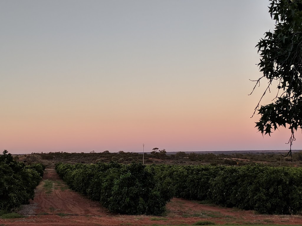 Border Cliffs River Retreat Murtho | lodging | 90 Murtho Rd, Murtho SA 5340, Australia | 0885958167 OR +61 8 8595 8167