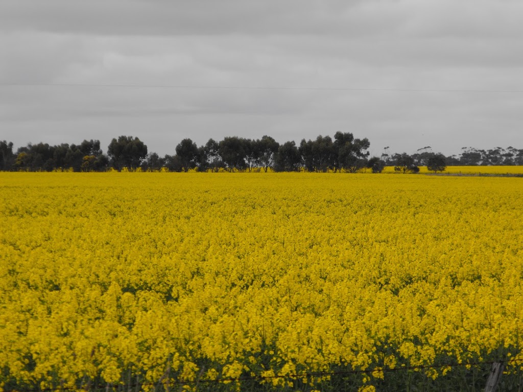 Basalt to Bay Landcare Network | Historic Railway Station, Bourke Ave, Koroit VIC 3282, Australia | Phone: 0408 712 713