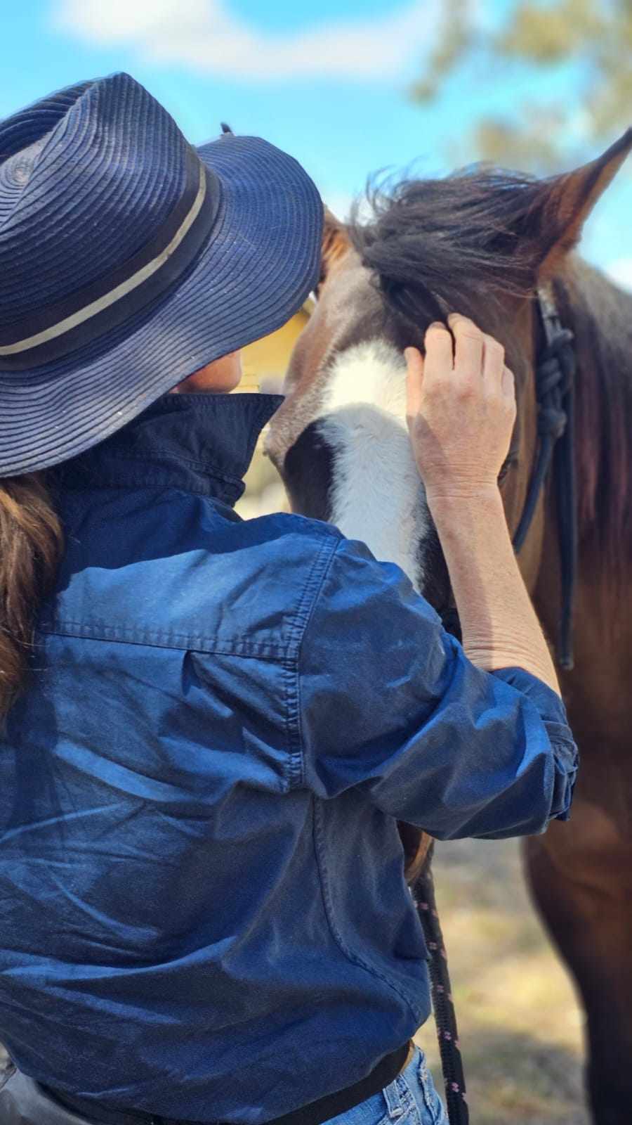 Bare Bowen Equine Services | 769 Sandy Creek Rd, Sandy Creek QLD 4515, Australia | Phone: 0491 046 468
