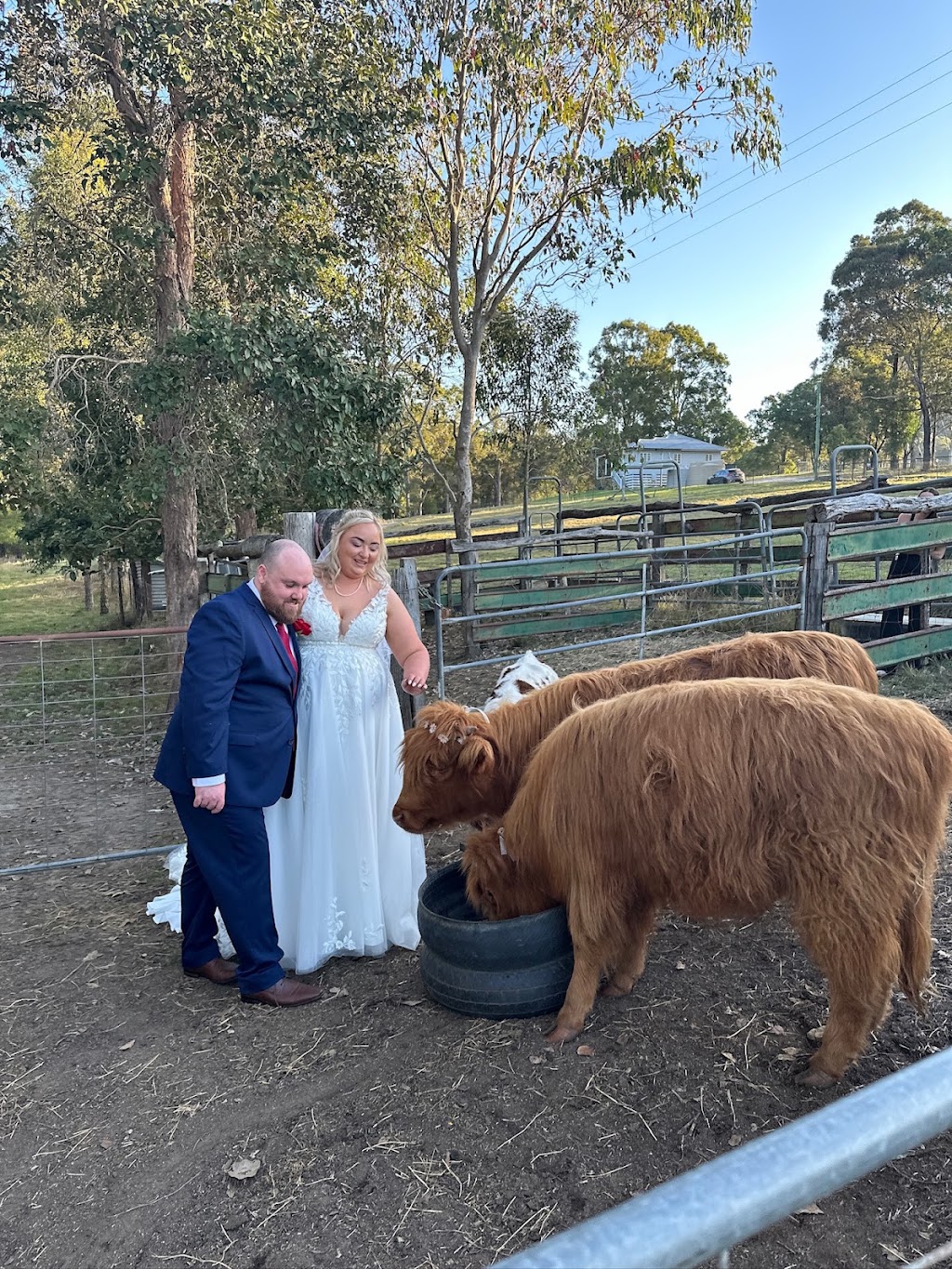 Delaneys Estate | 96-130 Banyak Suka Dr, Delaneys Creek QLD 4514, Australia | Phone: 0409 087 797