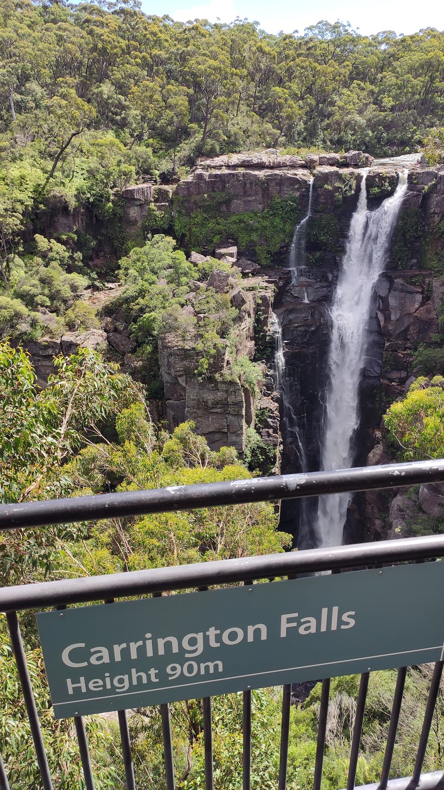 Carrington Falls | tourist attraction | 44-48 Hoddle Street Budderoo, National Park, Robertson NSW 2577, Australia | 0242360469 OR +61 2 4236 0469