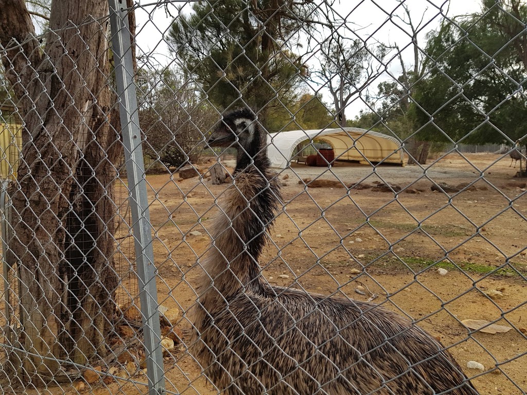 Kaarakin Black Cockatoo Conservation Centre | tourist attraction | 322 Mills Rd E, Martin WA 6110, Australia | 0893902288 OR +61 8 9390 2288