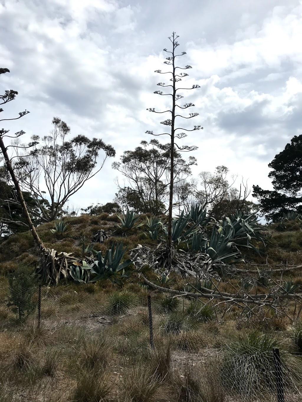 Truganina Explosives Reserve Altona | 276 Queen St, Altona VIC 3018, Australia