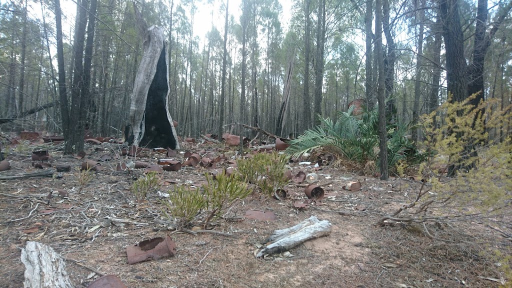 Sappa Bulga National Park | Dubbo NSW 2830, Australia