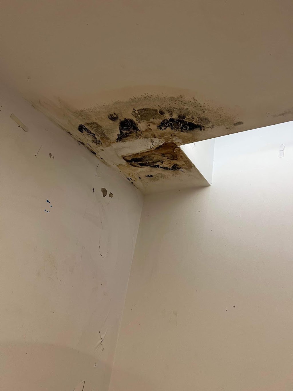 Restore Master Flood, Mould and Fire restoration | 31 Wahroonga St, Raymond Terrace NSW 2324, Australia | Phone: 1300 045 790