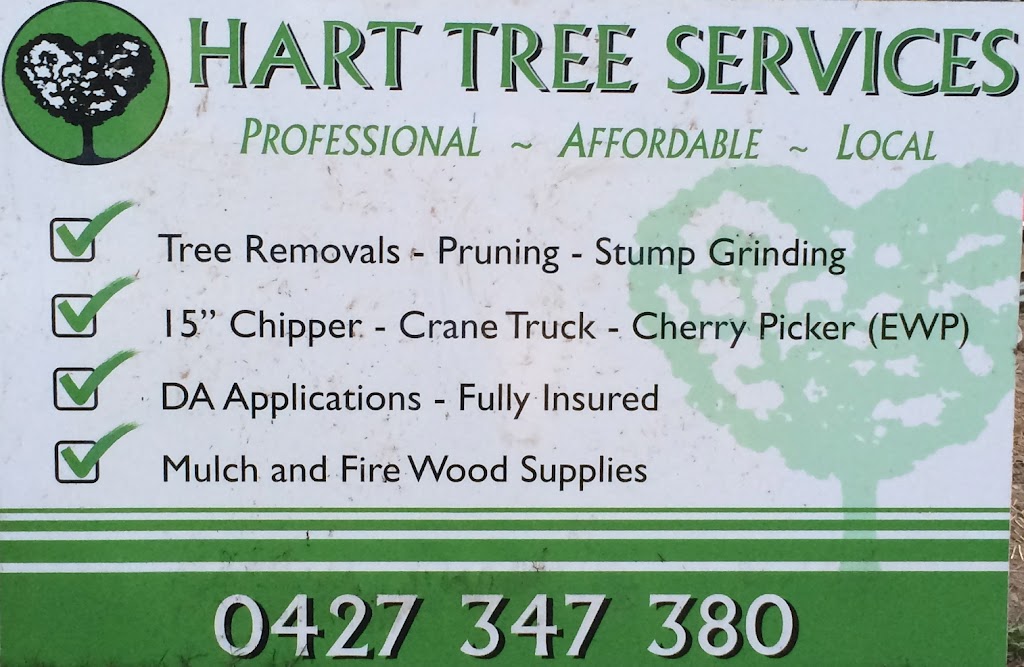 Hart Tree Services | 17 Golden Penda Pl, Mullumbimby NSW 2482, Australia | Phone: 0427 347 380