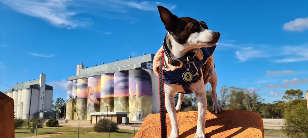 Kimba Silo Art | Kimba SA 5641, Australia | Phone: (08) 8627 2333