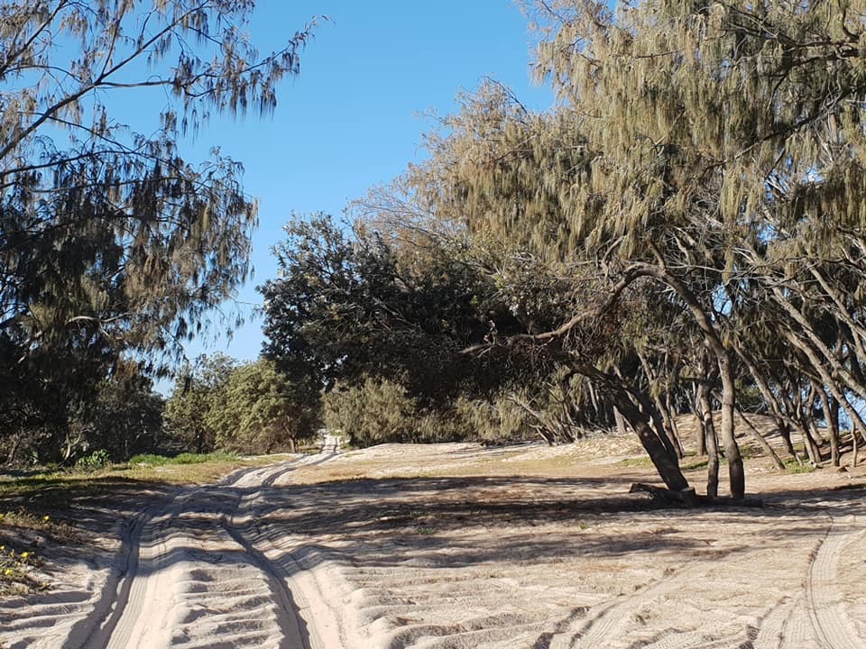 Main Beach Campground | North Stradbroke Island QLD 4183, Australia