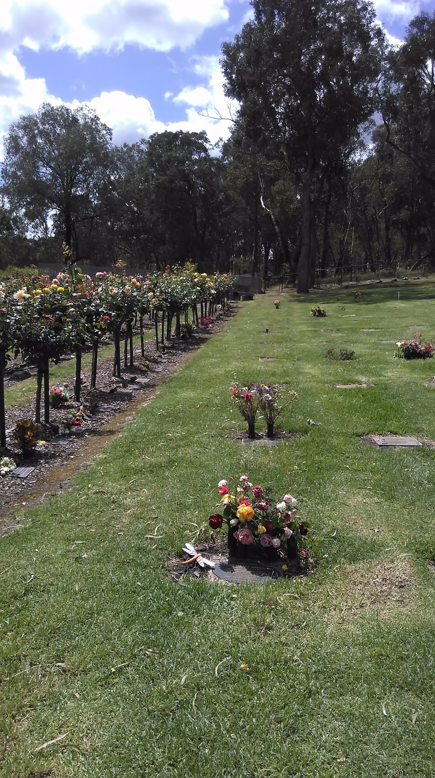 Andersons Creek Cemetery | cemetery | 11 Blair St, Warrandyte VIC 3113, Australia | 1300022298 OR +61 1300 022 298