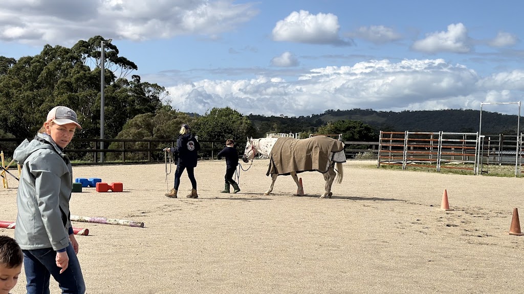 Little Farm Plays | 170 Thewlis Rd, Pakenham VIC 3810, Australia | Phone: 0409 197 969