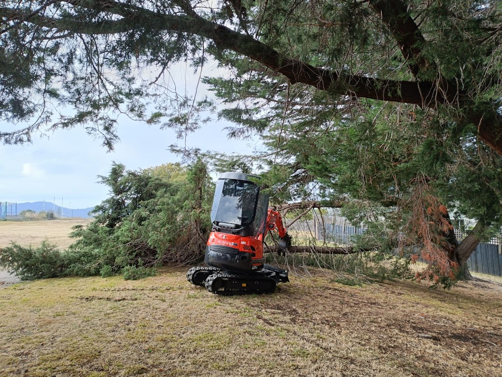 ASAP Arborist | 299 Millvale Rd, Dromedary TAS 7030, Australia | Phone: 0430 682 039
