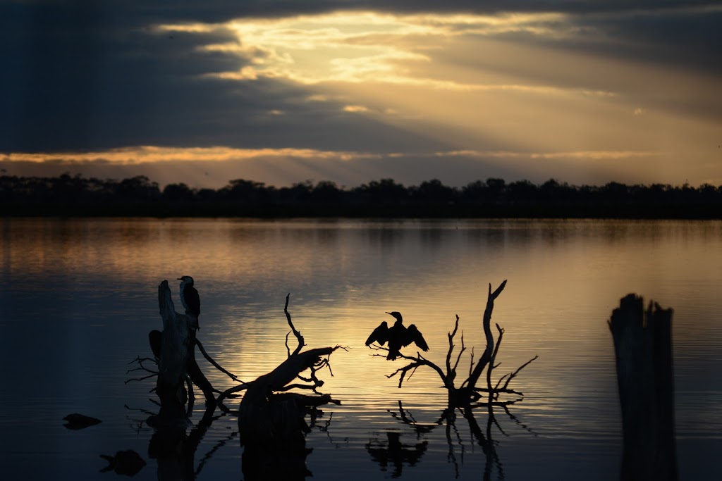 Lake Borrie Wetlands | park | Lake Borrie, Point Wilson VIC 3212, Australia | 131722 OR +61 131722