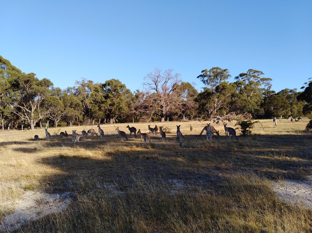 maroondah aqueduct | 224 Plenty Rd, Bundoora VIC 3083, Australia