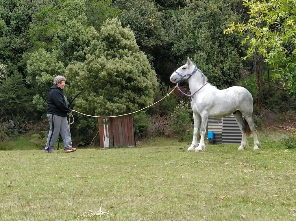 Vortex Healing Centre | school | 215 Dalmayne Rd, Gray TAS 7215, Australia | 0418515419 OR +61 418 515 419