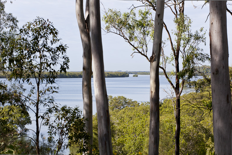 Ironbark Homeopathy | 23 Boundary St, Redland Bay QLD 4165, Australia | Phone: (07) 3206 8274