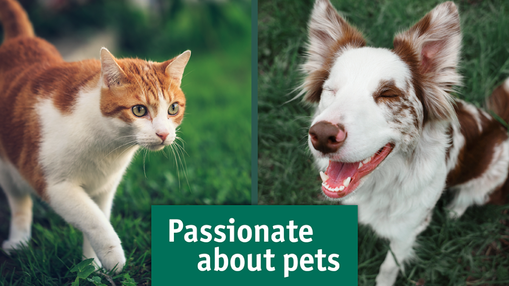 Greencross Vets North Parramatta | 563 Church St, North Parramatta NSW 2151, Australia | Phone: (02) 9146 1169