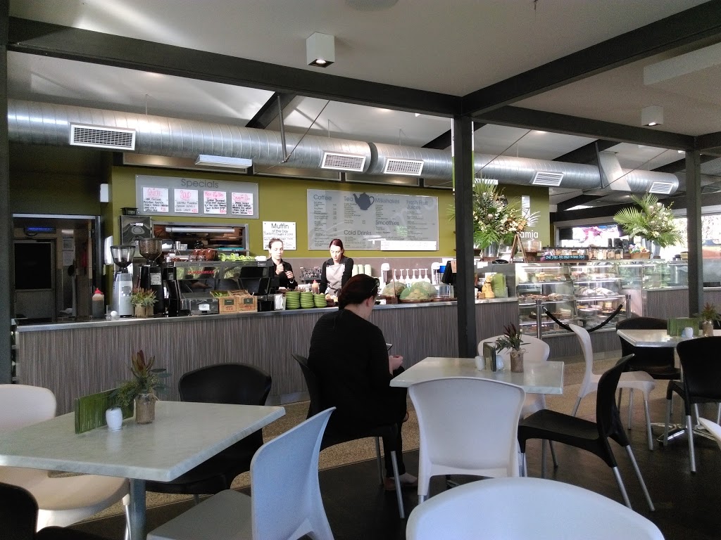 Zamia Cafe | cafe | 50 May Dr, West Perth WA 6005, Australia | 0893886700 OR +61 8 9388 6700