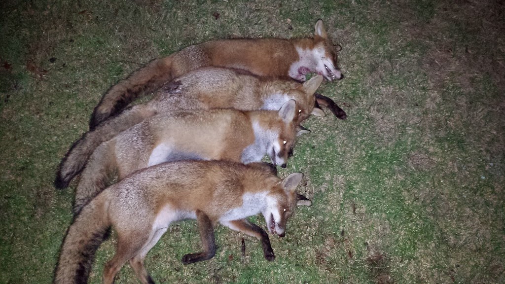 CPR Horticultural Services | 198 Wilson Dr, Hill Top NSW 2575, Australia | Phone: 0415 500 261