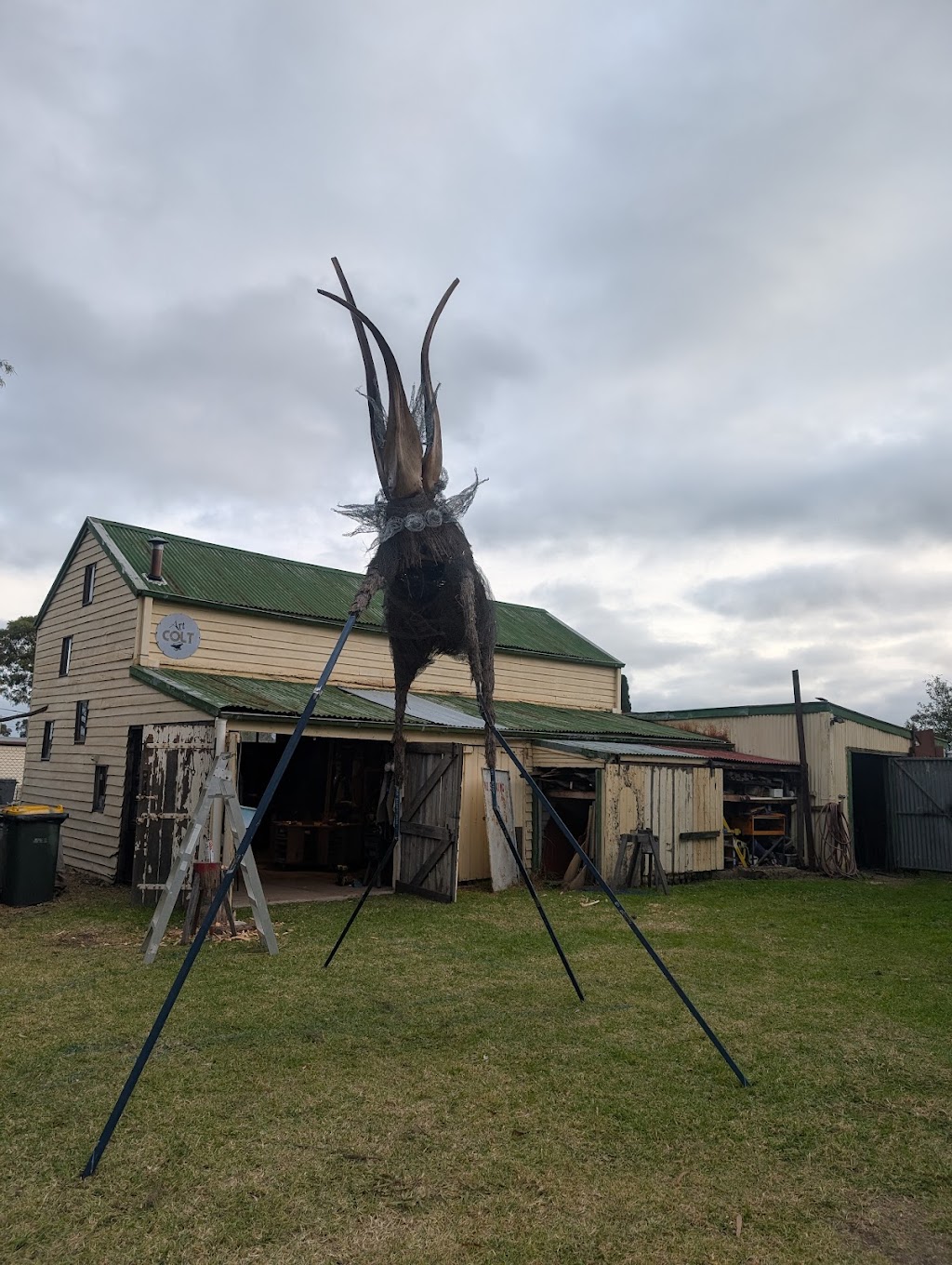 the art COLT | 20 Dixon St, Stratford VIC 3862, Australia | Phone: 0419 323 219