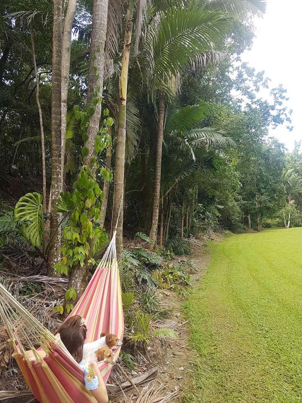 Camerons Pocket Creek Hipcamp | 69 Brodies Rd, Calen QLD 4798, Australia | Phone: (07) 4958 8173