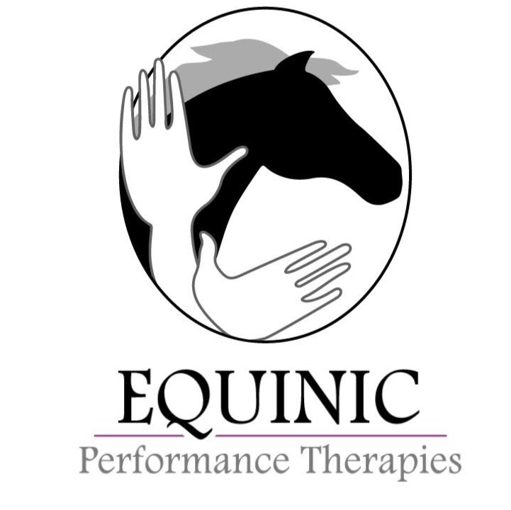 Equinic Performance Therapies | Dalwood Rd, East Branxton NSW 2335, Australia | Phone: 0425 184 454