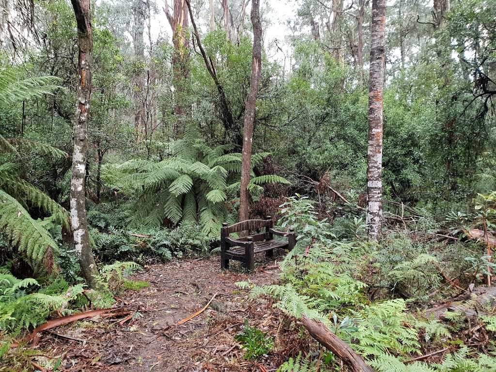 Errinundra Old Growth Forest Walk | park | Bendoc VIC 3888, Australia | 131963 OR +61 131963