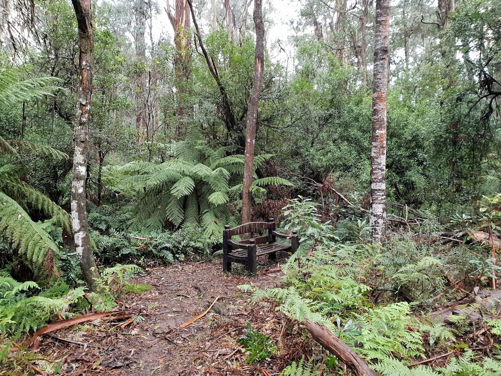 Errinundra Old Growth Forest Walk | Bendoc VIC 3888, Australia | Phone: 13 19 63