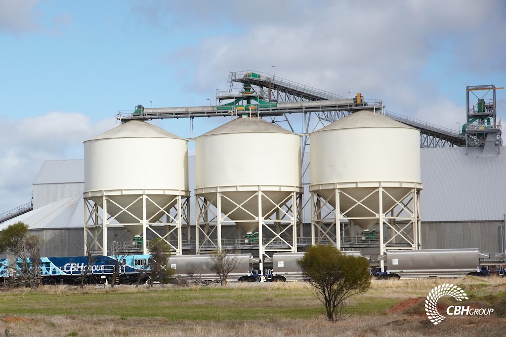 CBH Group Merredin |  | Gabo Ave, Merredin WA 6415, Australia | 0890411522 OR +61 8 9041 1522