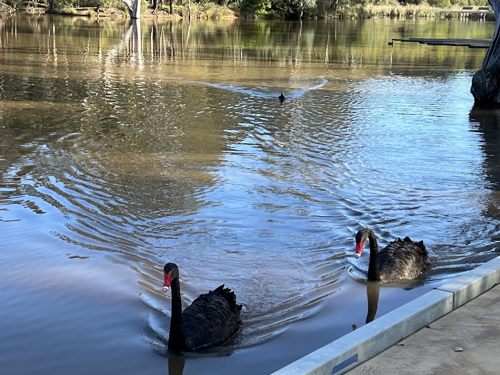 Lake Thompson | Poulton Tce, Campbelltown NSW 2560, Australia | Phone: (02) 4645 4000