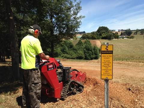 Gippsland Stump Grinding Services | 4 Dalpura Ct, Churchill VIC 3842, Australia | Phone: 0402 733 963