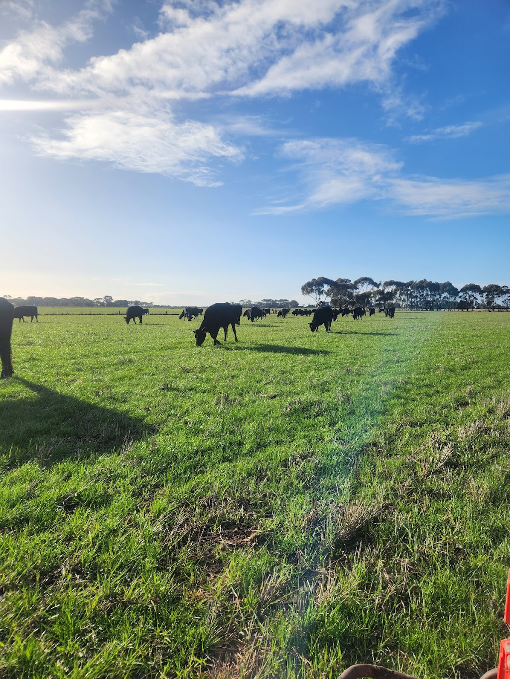 Riverbend | 100 Nelsons Rd, Cressy VIC 3322, Australia | Phone: 0466 005 590
