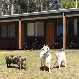 Wine Country Retreat |  | 1476 Wine Country Dr, North Rothbury NSW 2335, Australia | 0466593358 OR +61 466 593 358
