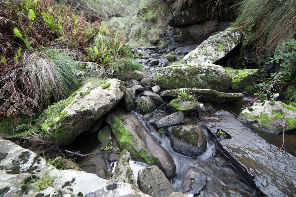 Elliot Ridge hike-in campsites | campground | Cape Otway VIC 3233, Australia