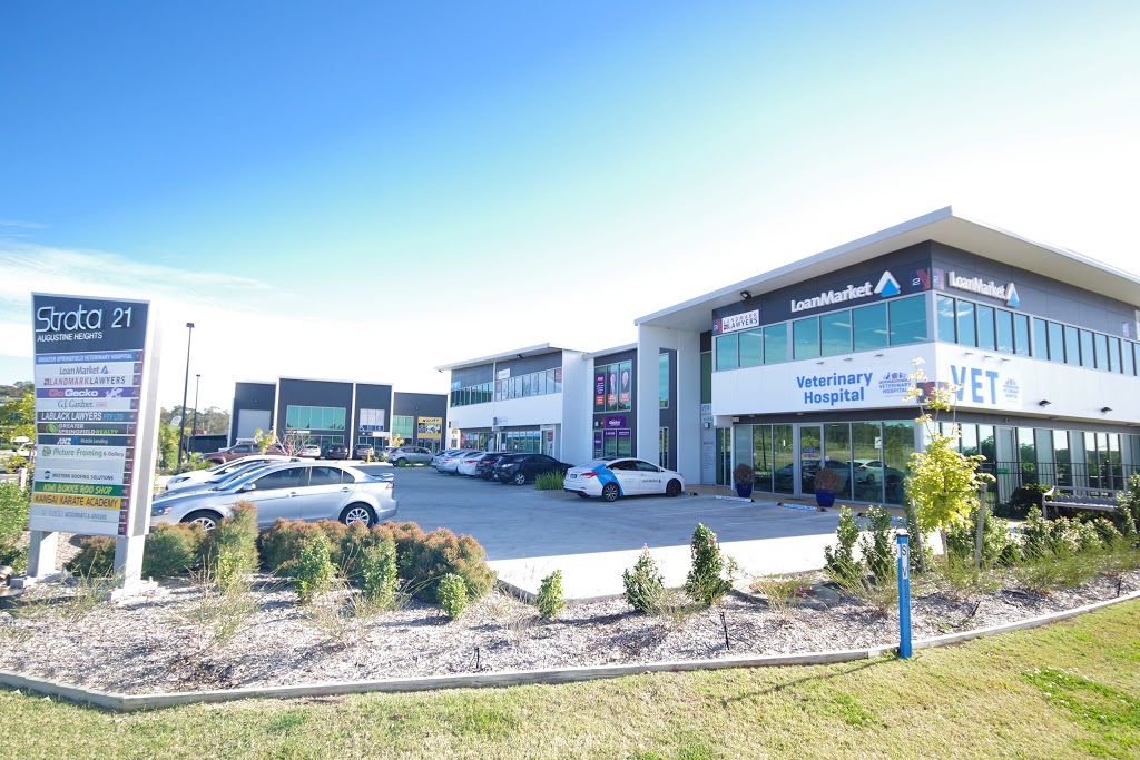 Go Gecko Springfield Region | 4/8 Commercial Dr, Springfield QLD 4300, Australia | Phone: (07) 3151 3930