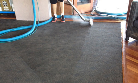 CARPET CLEANER WESTMINSTER | laundry | 22C Lodesworth Rd, Westminster WA 6061, Australia | 0894688074 OR +61 8 9468 8074