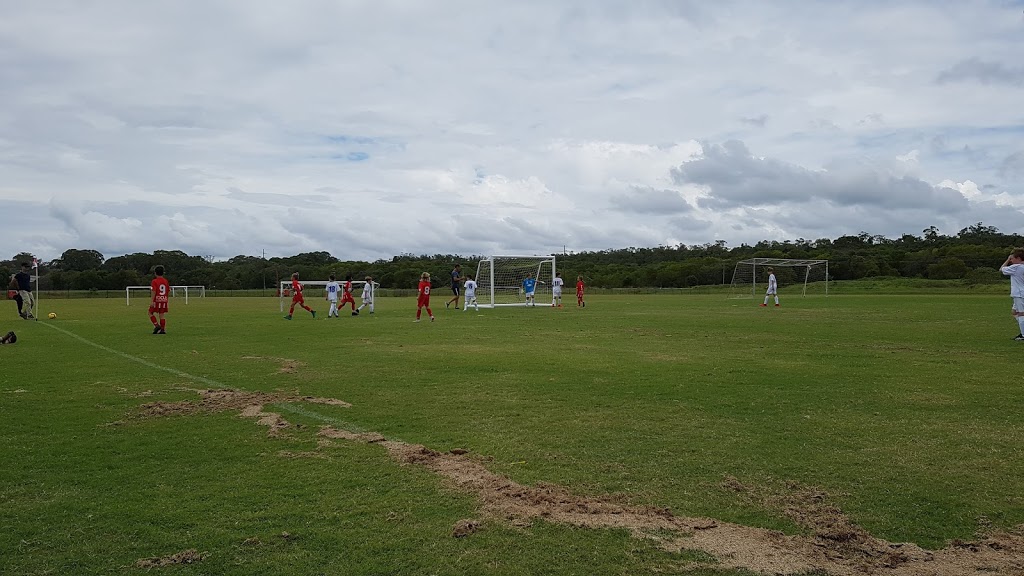 Caloundra Football Club |  | Meridan Sports Field Meridian Way, Meridan Plains QLD 4551, Australia | 0458882375 OR +61 458 882 375