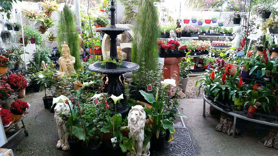 Pelicans Landing Garden Centre | 2 Riverside Dr, Nambucca Heads NSW 2448, Australia | Phone: (02) 6569 4159