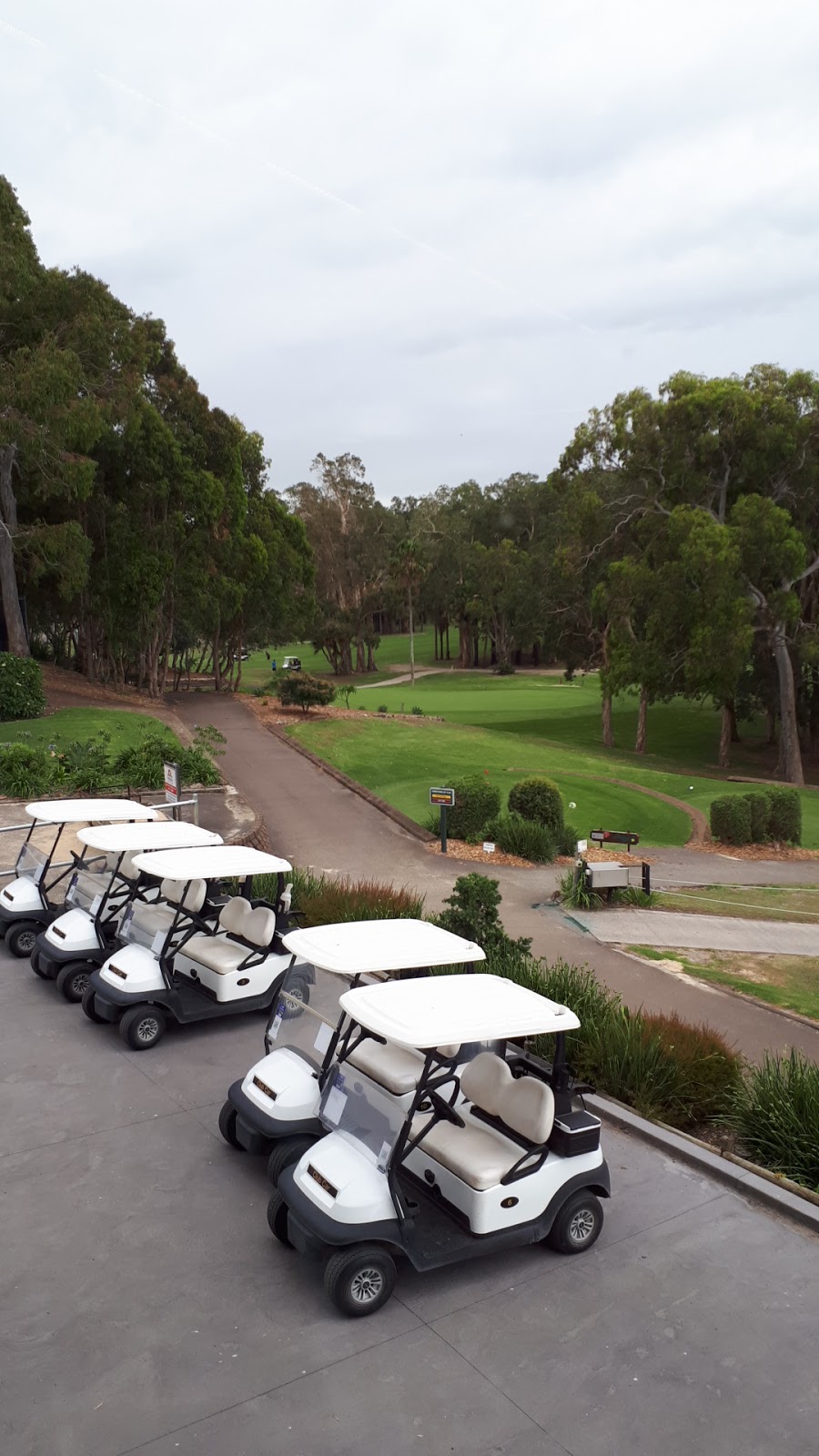 Toukley Golf Club |  | 54 Ninth Ave, Toukley NSW 2263, Australia | 0243965811 OR +61 2 4396 5811